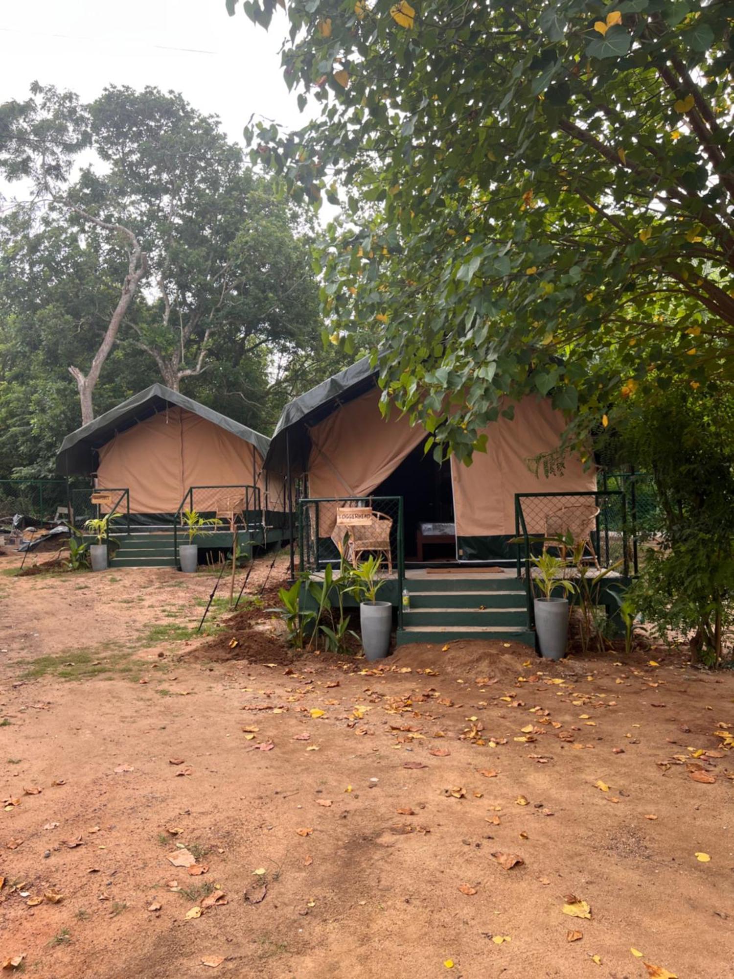 At One - Glamping Hotell Rekawa Exteriör bild
